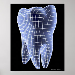 Tooth, computer artwork of a molar tooth poster