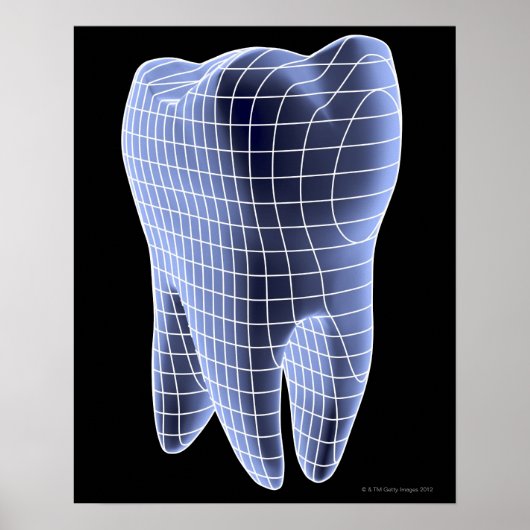 Tooth, computer artwork of a molar tooth poster (Vorne)