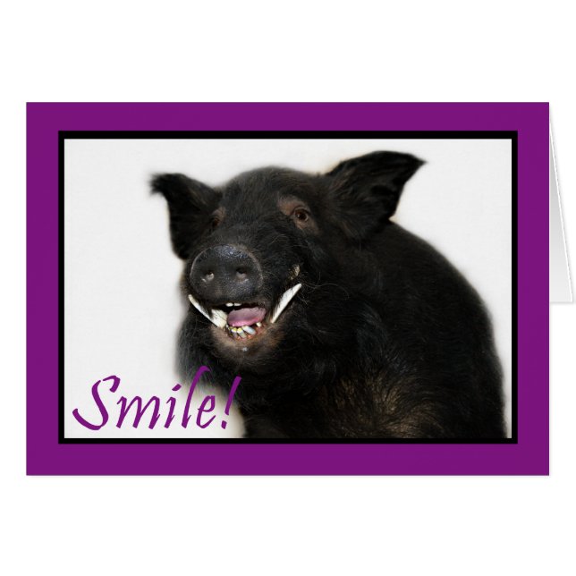 Toothy Hog Smile (Vorderseite (Horizontal))