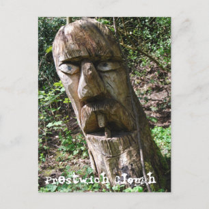 Toothy Tree Figure in Prestwich Clough Postcard Postkarte