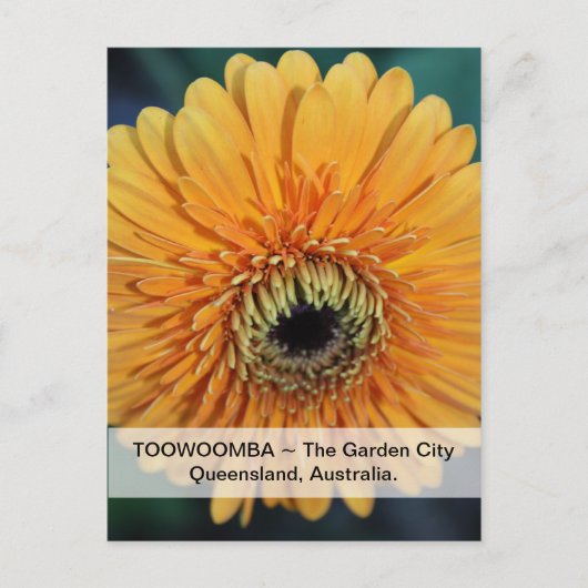 Toowoomba Der Garten Postkarte (Vorderseite)