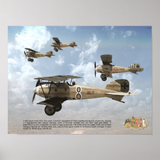 Top-Aces der Austro-Ungarischen KuK-Luftwaffe Poster