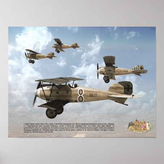 Top-Aces der Austro-Ungarischen KuK-Luftwaffe Poster (Vorne)