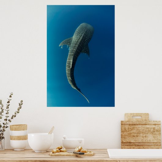 Top-Ansicht eines Walhais Poster (Küche)