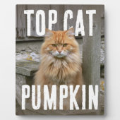 Top Cat PhotoPop Fotoplatte (Vorderseite)