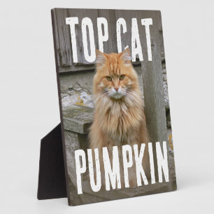 Top Cat PhotoPop Fotoplatte