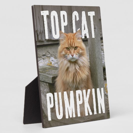 Top Cat PhotoPop Fotoplatte (Seite)