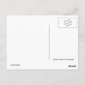 Top der Postkarte (Rückseite)