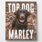 Top Dog PhotoPop Fotoplatte (Vorderseite)