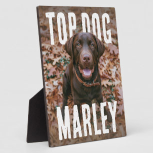 Top Dog PhotoPop Fotoplatte