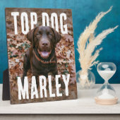 Top Dog PhotoPop Fotoplatte (Seite)