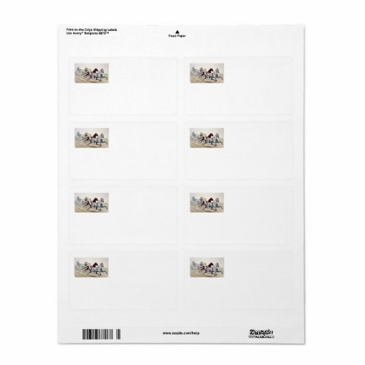 TOP Harness Racing (Vorne)