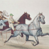 TOP Harness Racing Aufkleber (Vorderseite)