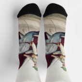 TOP Harness Racing Socken (Oben)