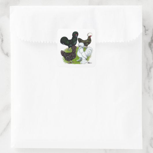 Top Hat Chicken Quartet Quadratischer Aufkleber (Tasche)
