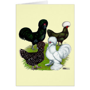 Top Hat Chicken Quartett