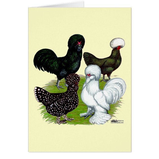 Top Hat Chicken Quartett (Vorne)