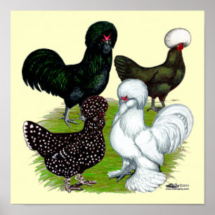 Top Hat Chicken Quartett Poster