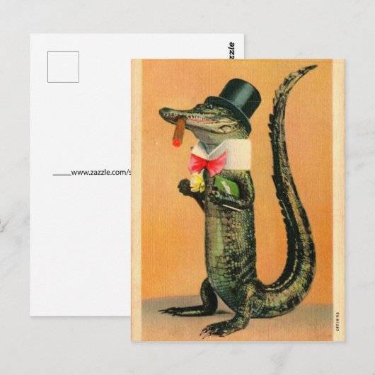 Top Hat Gator Postkarte (Vorne/Hinten)