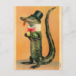Top Hat Gator Postkarte