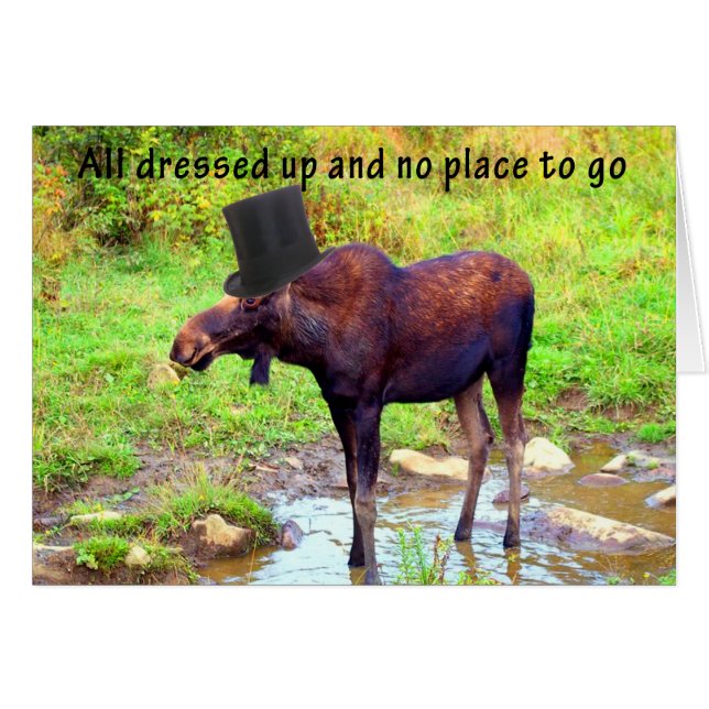 Top Hat Moose (Vorderseite (Horizontal))