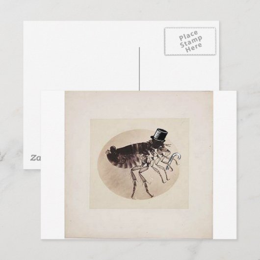 Top Hat und Cane Flea Postkarte (Vorne/Hinten)