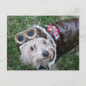 Top Hund im Aviator-Outfit Postkarte (Vorderseite)