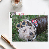 Top Hund im Aviator-Outfit Postkarte