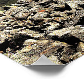 Top in Schottland Poster (Ecke)