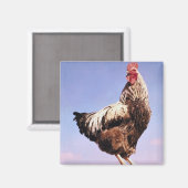 Top-Liste Magnet (Vorderseite/Rückseite)