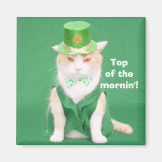 Top of the mornin'! magnet