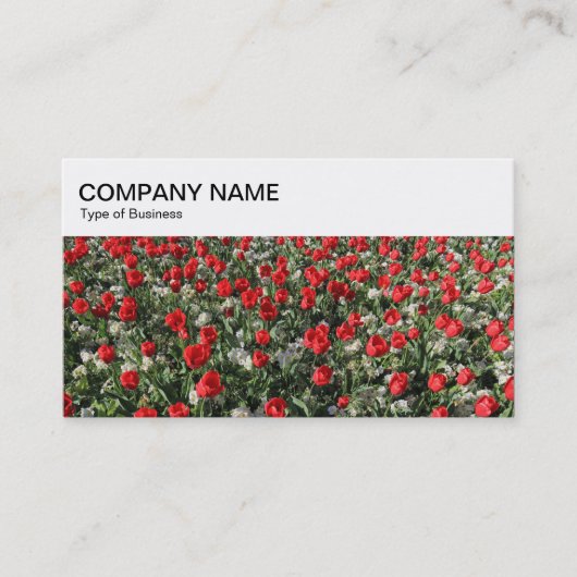 Top-Panel - Bed of Tulips Business Card Visitenkarte (Vorderseite)
