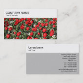 Top Panel - Bett der Tulips 02 Visitenkarte (Vorne/Hinten)