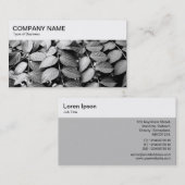 Top-Panel - Blätter Visitenkarte (Vorne/Hinten)