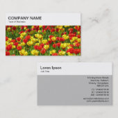 Top-Panel - Geschäftskarte mit roten und gelben Tu Visitenkarte (Vorne/Hinten)