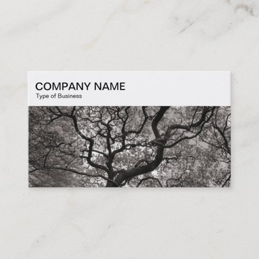 Top-Panel - Magnolia Trees Business Card Visitenkarte (Vorderseite)