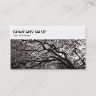 Top-Panel - Magnolia Trees Business Card Visitenkarte