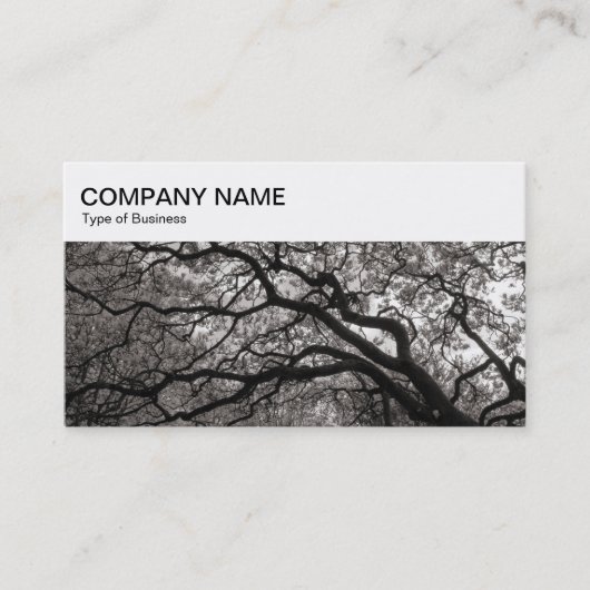 Top-Panel - Magnolia Trees Business Card Visitenkarte (Vorderseite)