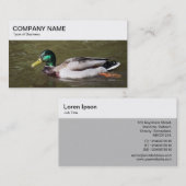 Top Panel - Mallard Duck Business Card Visitenkarte (Vorne/Hinten)