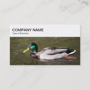 Top Panel - Mallard Duck Business Card Visitenkarte