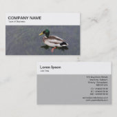 Top Panel - Mallard Duck Business Card Visitenkarte (Vorne/Hinten)