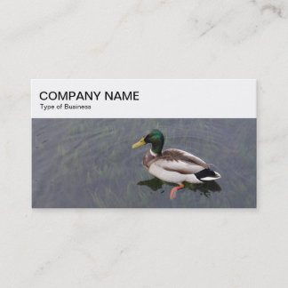 Top Panel - Mallard Duck Business Card Visitenkarte