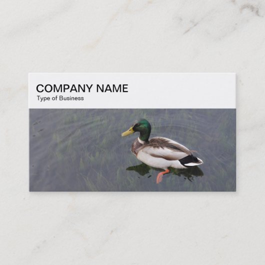 Top Panel - Mallard Duck Business Card Visitenkarte (Vorderseite)