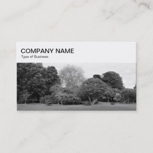 Top Panel - Park BW Business Card Visitenkarte