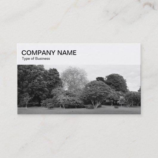 Top Panel - Park BW Business Card Visitenkarte (Vorderseite)