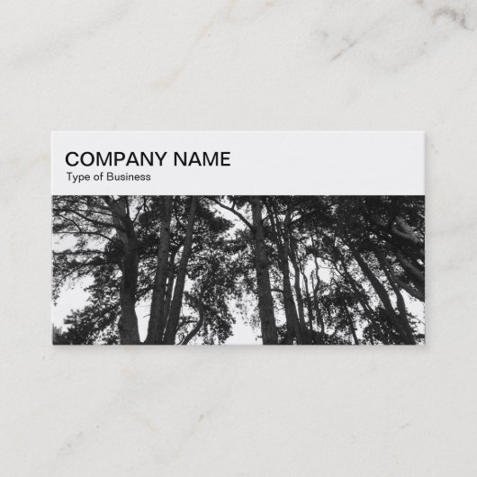 Top-Panel - Scott's Pine Trees Business Card Visitenkarte (Vorderseite)