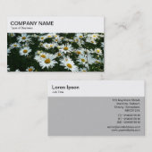 Top Panel - Shasta Daisis Business Card Visitenkarte (Vorne/Hinten)