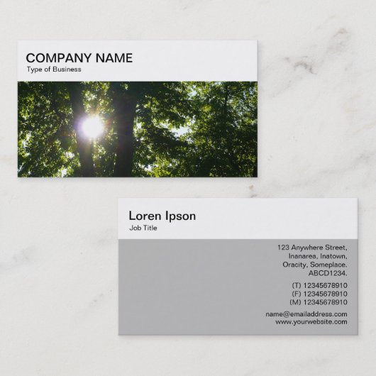 Top-Panel - Sonne strahlt durch Bäume Geschäftswag Visitenkarte (Vorne/Hinten)