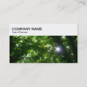Top-Panel - Sonne strahlt durch Bäume Geschäftswag Visitenkarte (Vorderseite)