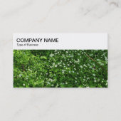 Top-Panel - Visitenkarte für Holzteppiche (Vorderseite)